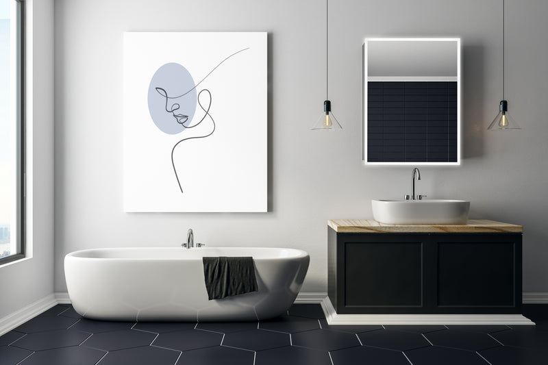 Cassini I Lighted Bathroom Cabinet Vanity Mirror